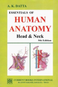 Image of Essentials of human anatomy:  Head and neck- volume 2