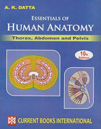 Image of Essentials of human anatomy : Thorax & Abdomen - Volume 1